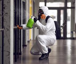 Biohazard Mold Removal in Pascagoula, MS